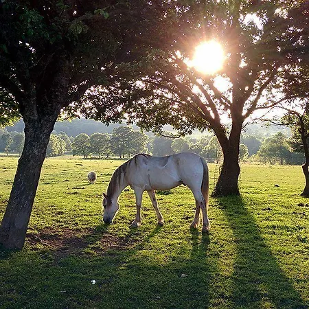 Casa rural Casa Cazoleiro *